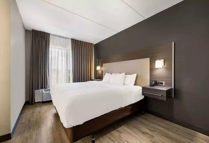 בית מלון כפרי Comfort Suites Northlake