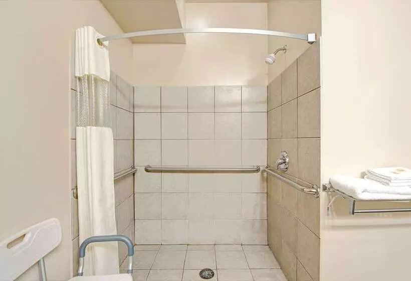 酒店 Days Inn By Wyndham Downtown St. Louis