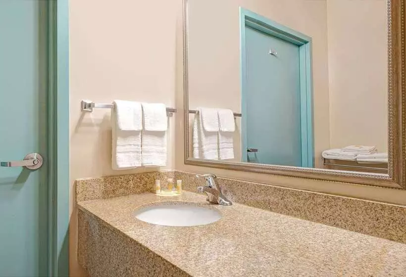 酒店 Days Inn By Wyndham Downtown St. Louis