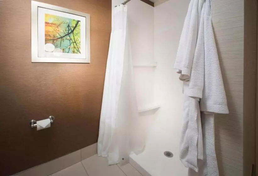 ホテル Fairfield Inn & Suites Idaho Falls