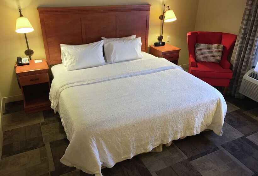 ホテル Hampton Inn Garden City