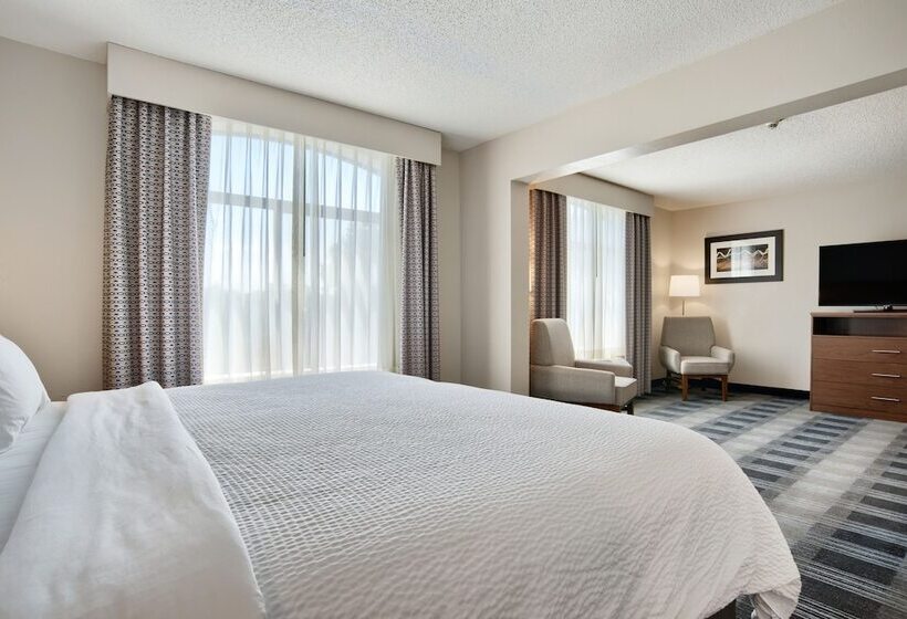 酒店 Holiday Inn Express & Suites Mobile I 65, An Ihg