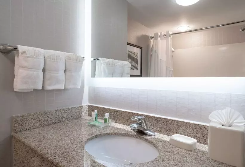 酒店 Holiday Inn Manassas   Battlefield, An Ihg