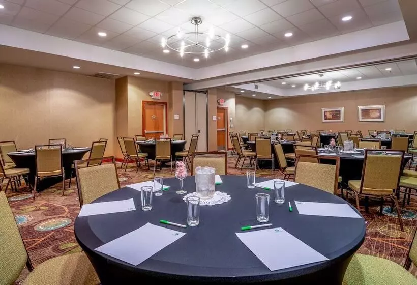 酒店 Holiday Inn Manassas   Battlefield, An Ihg