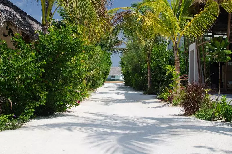 Отель Ozen Reserve Bolifushi Luxury All Inclusive