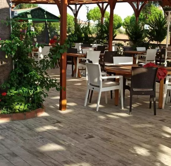 בית מלון כפרי Side Alya