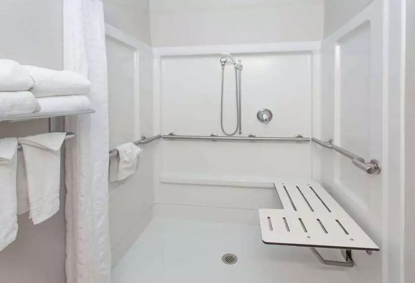 Microtel Inn & Suites By Wyndham Port Charlotte Punta Gorda