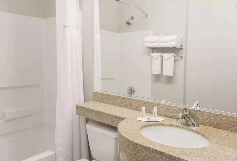 Microtel Inn & Suites By Wyndham Port Charlotte Punta Gorda