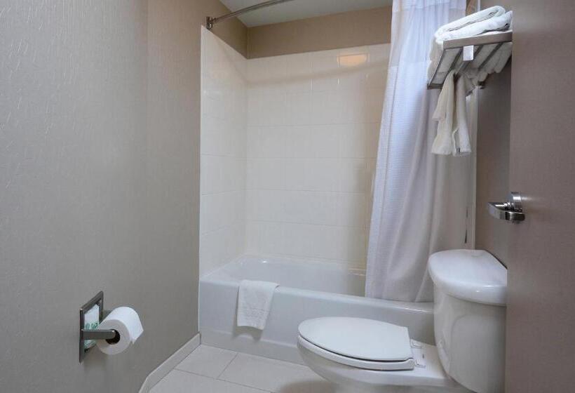 Springhill Suites By Marriott Lynchburg Airport/university Area