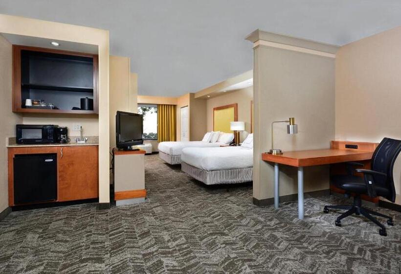 Springhill Suites By Marriott Lynchburg Airport/university Area