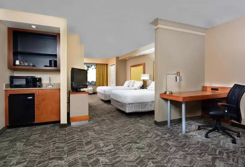 Springhill Suites By Marriott Lynchburg Airport/university Area