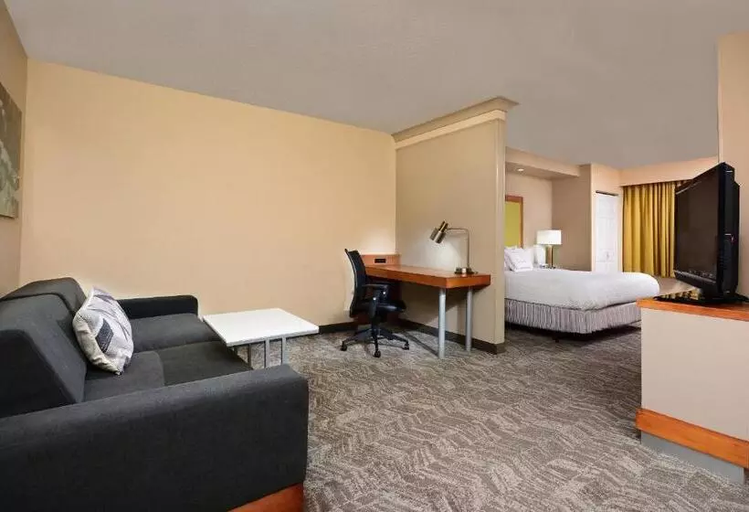 Springhill Suites By Marriott Lynchburg Airport/university Area