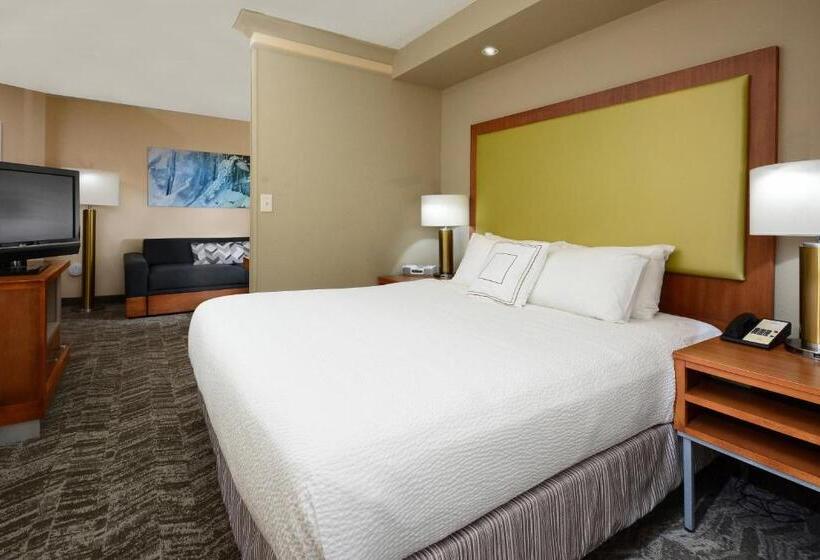 Springhill Suites By Marriott Lynchburg Airport/university Area