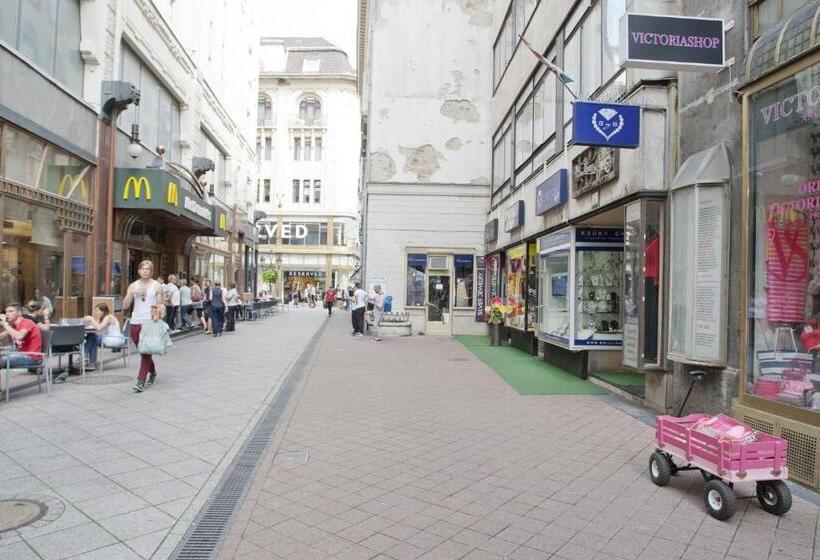 Aurora Apartment Danube View