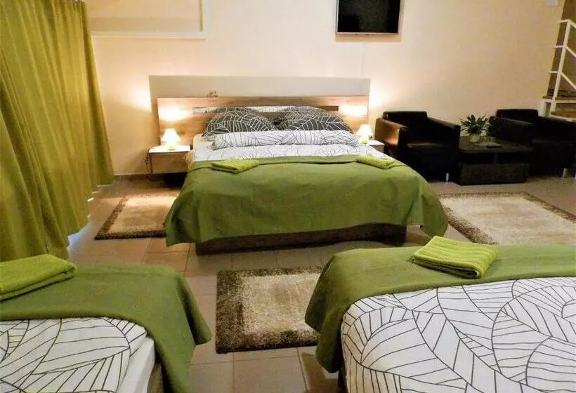 호텔 Bartók Tér Panzió