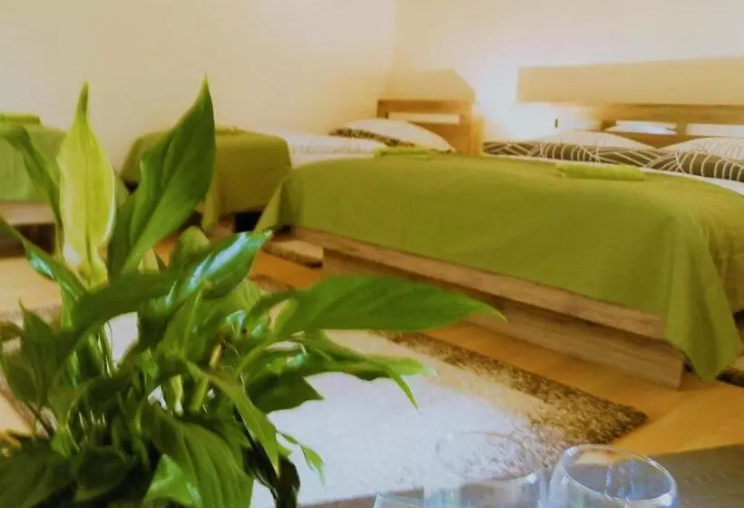 호텔 Bartók Tér Panzió