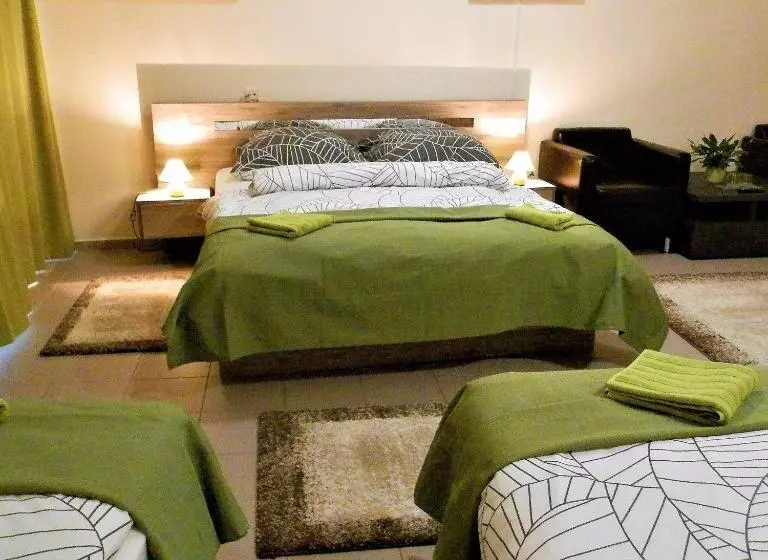 호텔 Bartók Tér Panzió