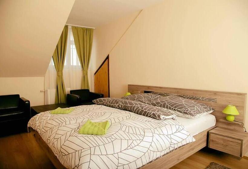 בית מלון כפרי Bartók Tér Panzió