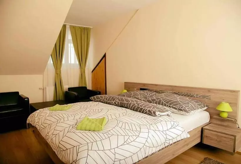 호텔 Bartók Tér Panzió