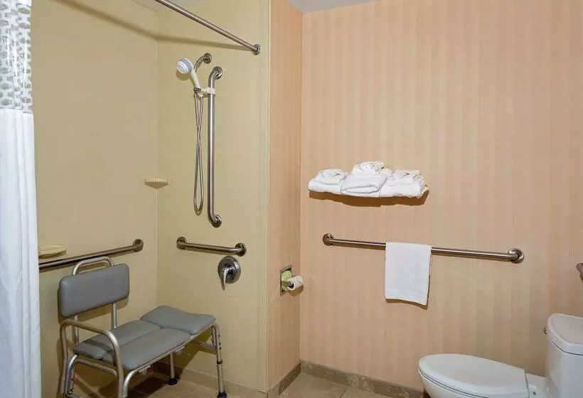 Отель Hampton Inn Atlantafairburn