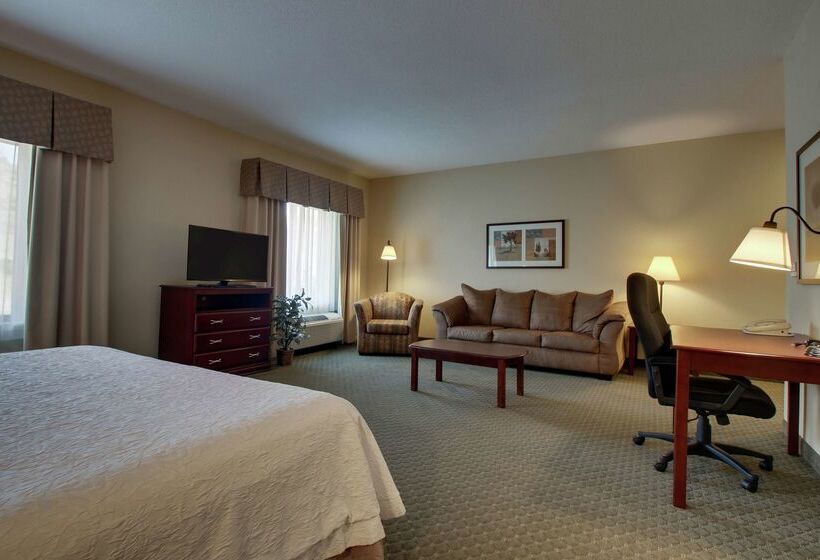 호텔 Hampton Inn & Suites Denver Littleton