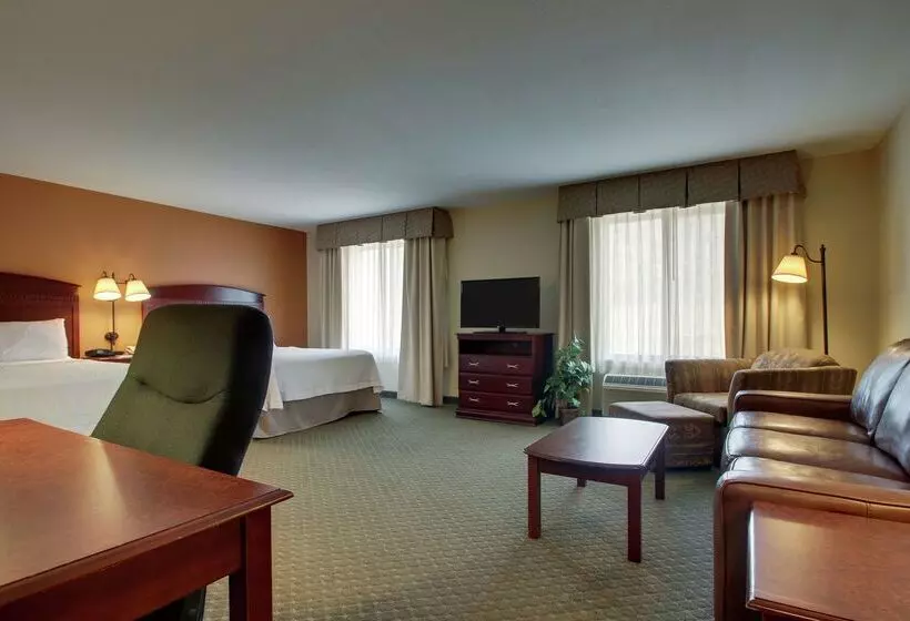 호텔 Hampton Inn & Suites Denver Littleton