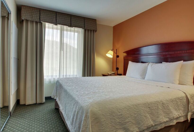 호텔 Hampton Inn & Suites Denver Littleton