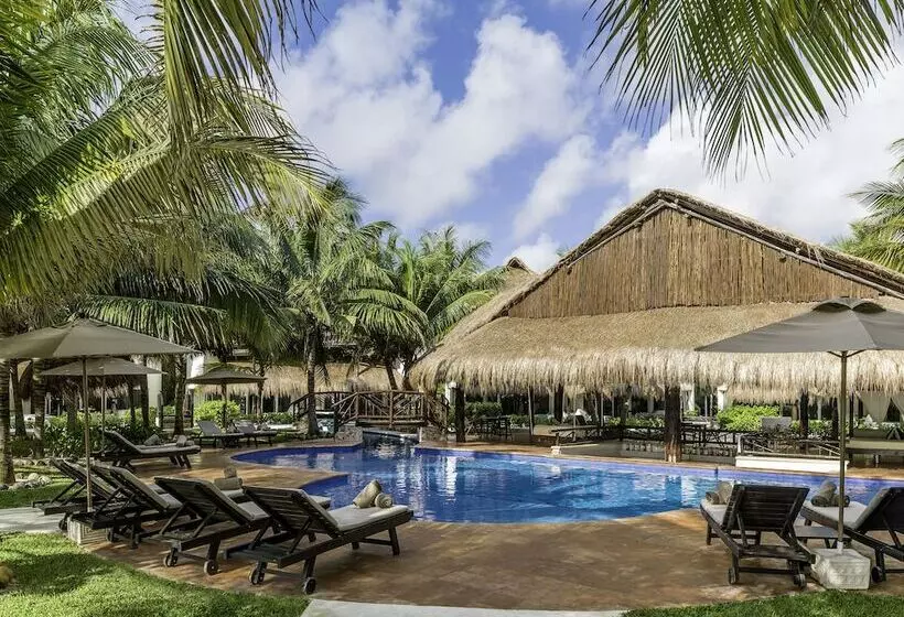渡假胜地 El Dorado Casitas Royale Catamarán, Cenote & More Inclusive