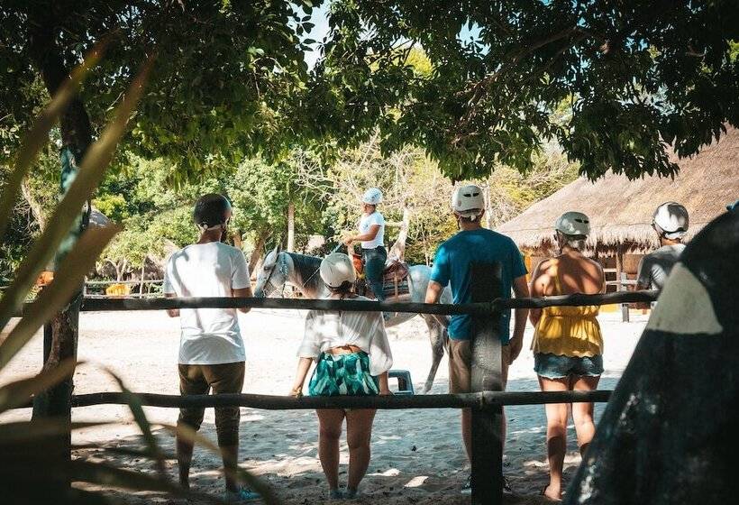 منتجع El Dorado Casitas Royale Catamarán, Cenote & More Inclusive