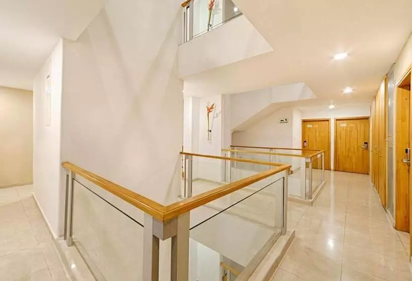 Basic Hotel Centenario By Hoteles Ms