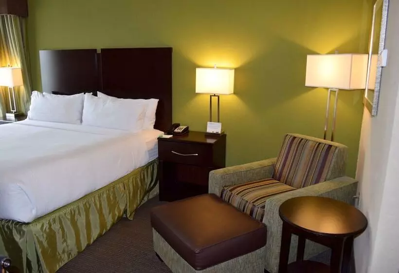 ホテル Holiday Inn Hou Energy Corridor Eldridge, An Ihg