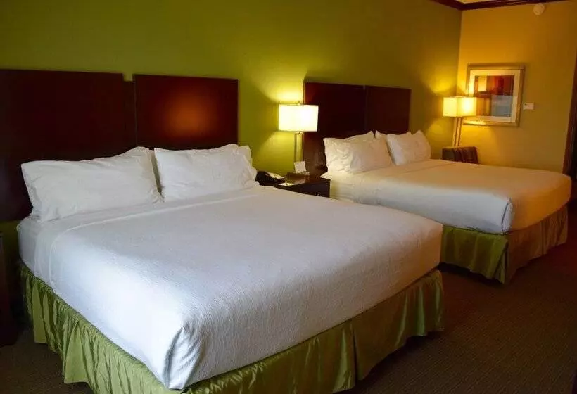 ホテル Holiday Inn Hou Energy Corridor Eldridge, An Ihg
