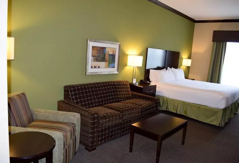 ホテル Holiday Inn Hou Energy Corridor Eldridge, An Ihg