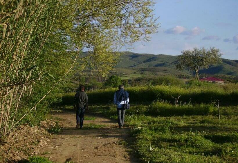 田舎風ホテル Quinta Do Barracao Da Vilarica