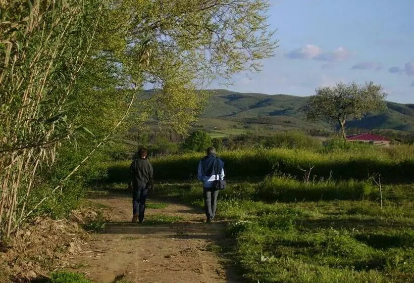 Сельский отель Quinta Do Barracao Da Vilarica
