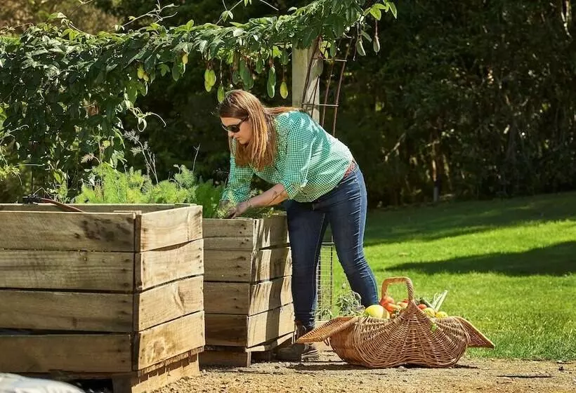 酒店 Woodman Estate Luxury Country