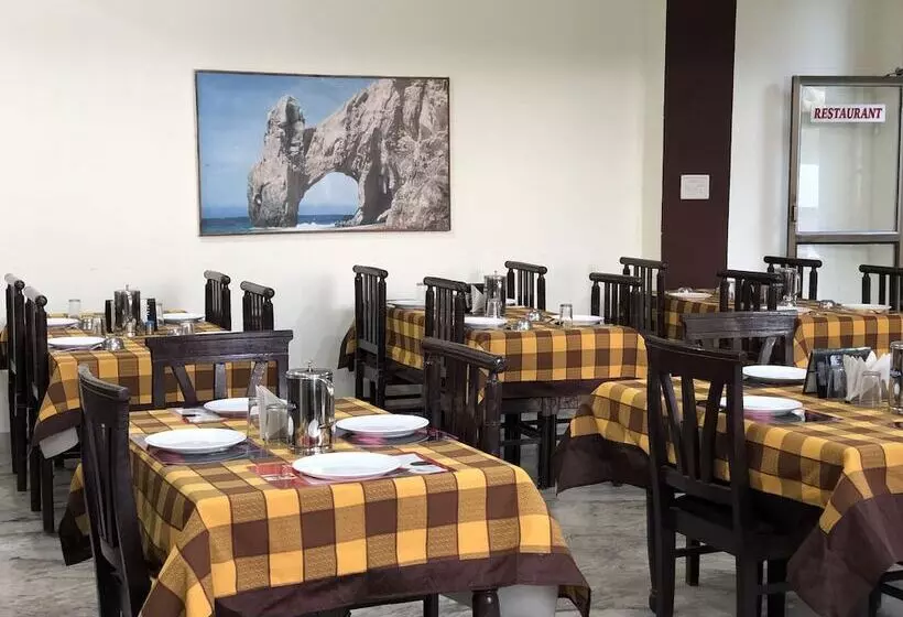 فندق Tiger Haveli