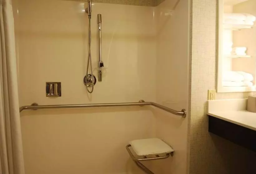 Holiday Inn Express Hotel & Suites Kingsport Meadowview I 26, An Ihg