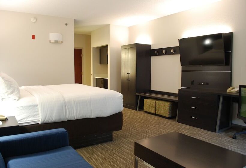 Holiday Inn Express Hotel & Suites Kingsport Meadowview I 26, An Ihg