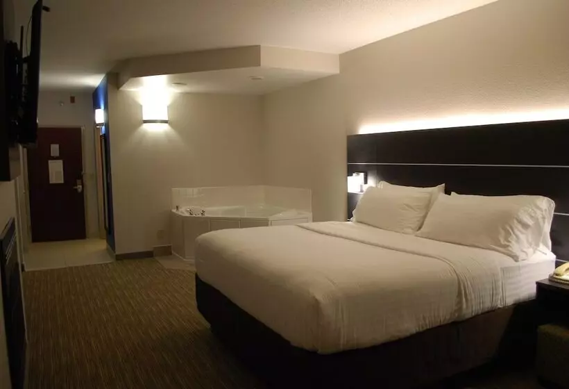 Holiday Inn Express Hotel & Suites Kingsport Meadowview I 26, An Ihg