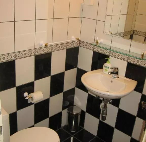 هتل Chola Guest House