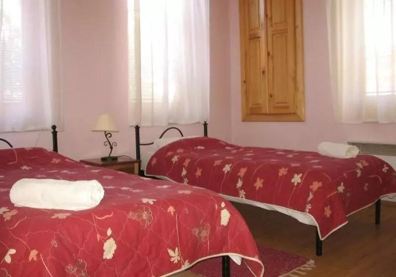 هتل Chola Guest House