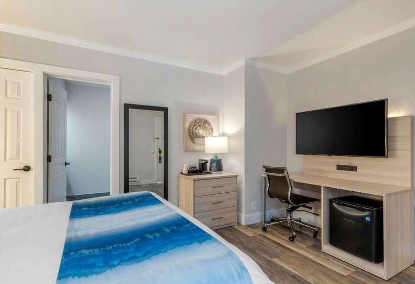 酒店 Comfort Inn Carmel By The Sea