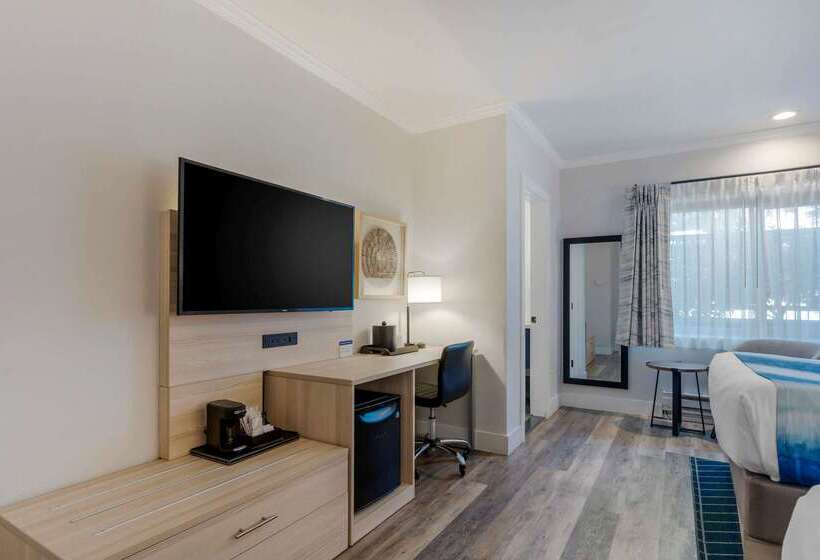 酒店 Comfort Inn Carmel By The Sea