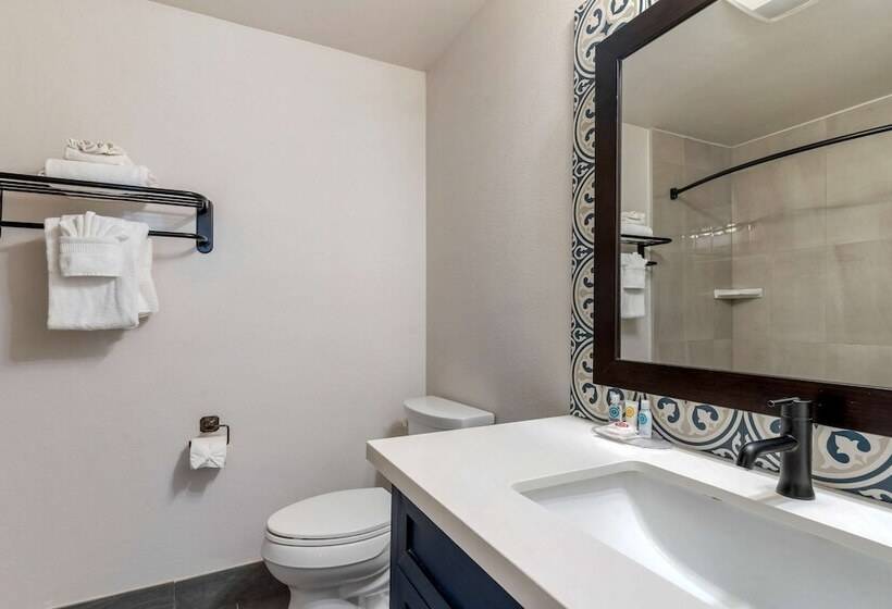 酒店 Comfort Inn Carmel By The Sea