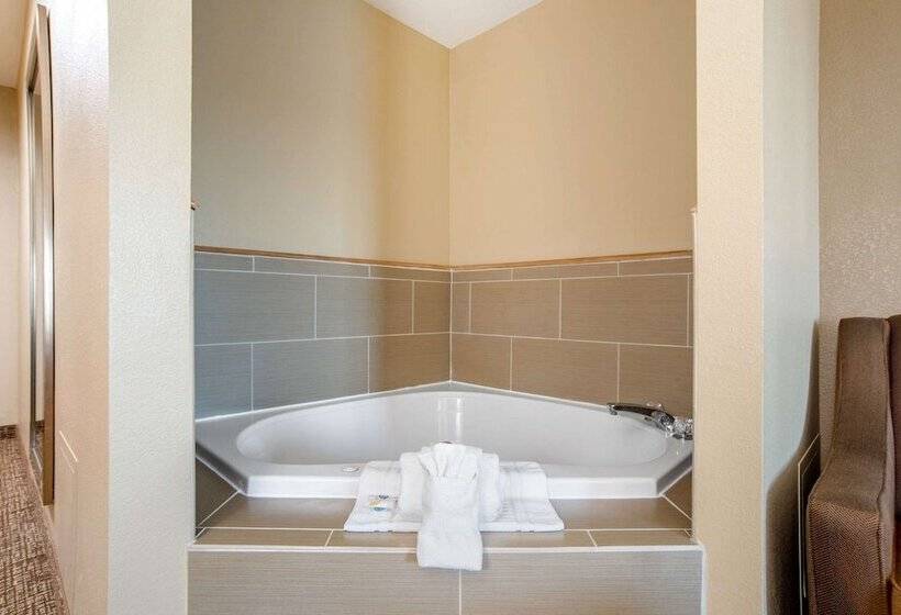 فندق Comfort Suites