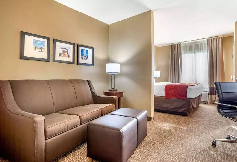 فندق Comfort Suites