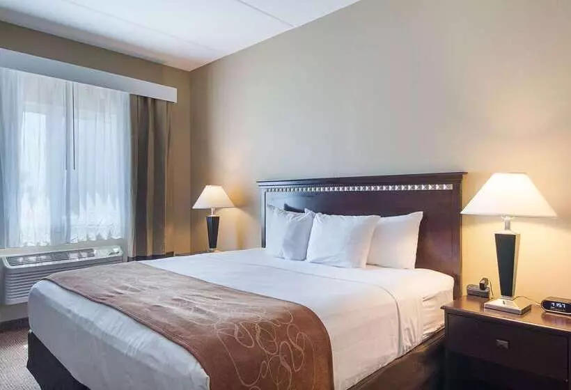 Отель Comfort Suites Beachside