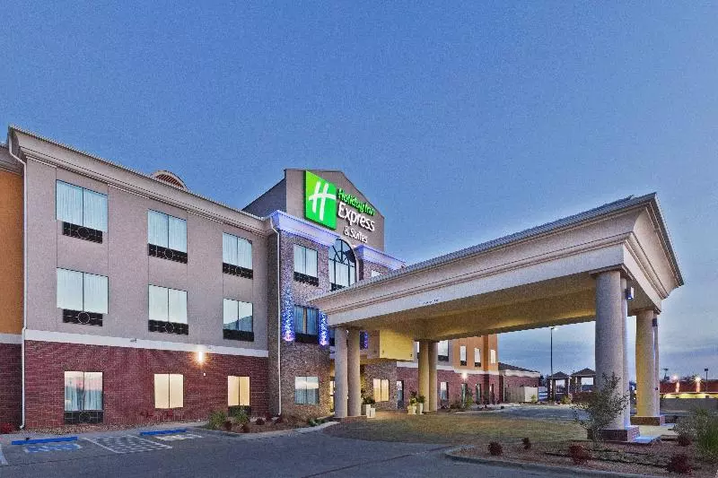 Holiday Inn Express Hotel & Suites Brownfield By Ihg