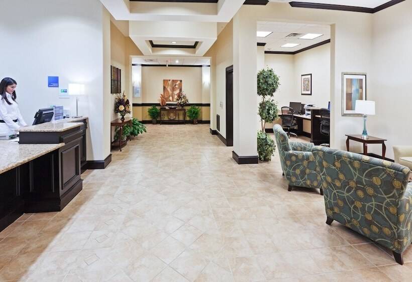 Holiday Inn Express Hotel & Suites Brownfield By Ihg